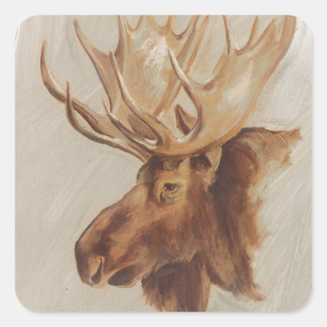 Western American Animal Study | Elche Portrait Quadratischer Aufkleber (Vorderseite)