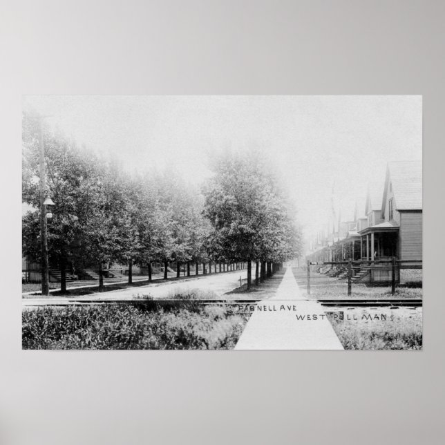 Western Aussicht auf Parnell Avenue Poster (Vorne)