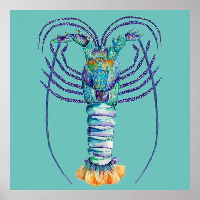 Western Australian Painted Rock Lobster Poster (Vorne)