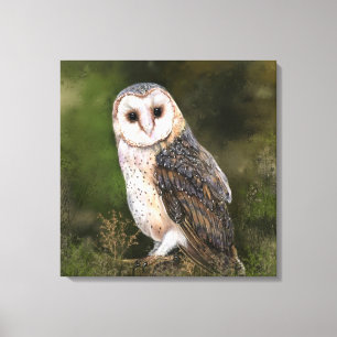 Western Barn Owl Canvas Print - Painting Leinwanddruck