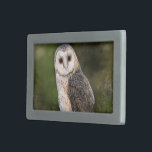 Western Barn Owl Gürtelschnalle - Grün<br><div class="desc">Western Barn Owl - Migne Wasserfarben Malerei Kunst, Bird of Forest</div>