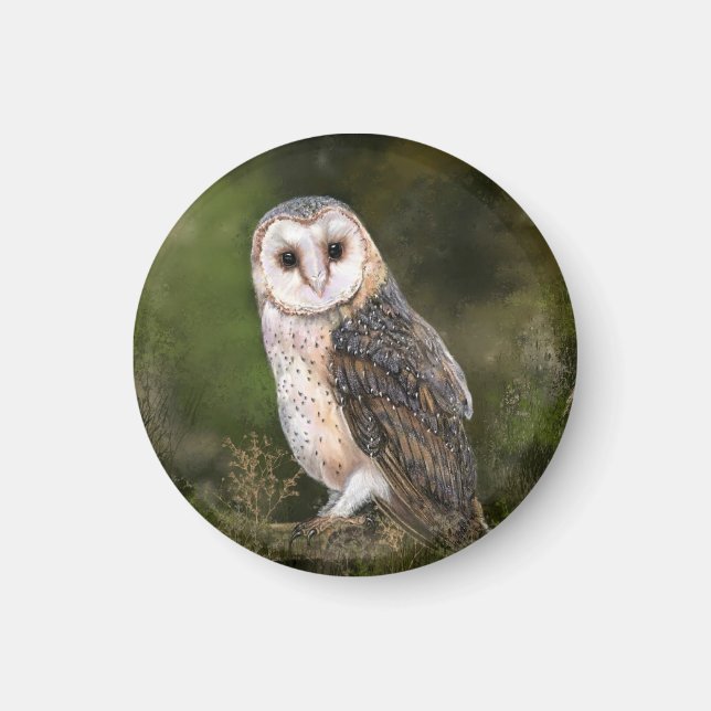 Western Barn Owl Magnet (Vorne)