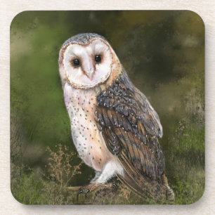 Western Barn Owl - Mignes Wasserfarben Malerei Art Getränkeuntersetzer