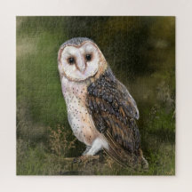 Western Barn Owl - Wasserfarbenmalerei Art