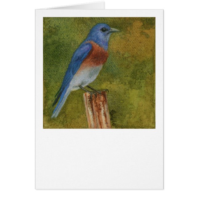 Western Bluebird Card (Vorne)