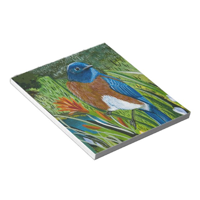 Western Bluebird Notizblock (angewinkelt)