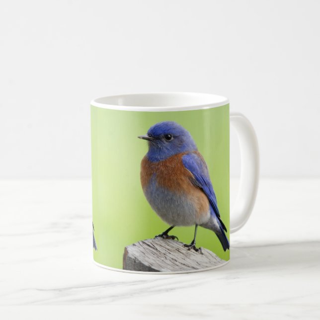 Western Bluebird Tasse (VorderseiteRechts)
