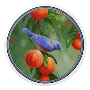 Western Bluebird und reifen Pfirsiche Keramikknauf