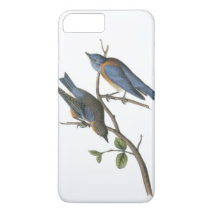 Western Bluebird von Audubon Case-Mate iPhone Hülle