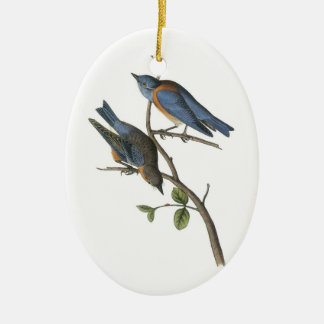 Western Bluebird von Audubon Keramikornament