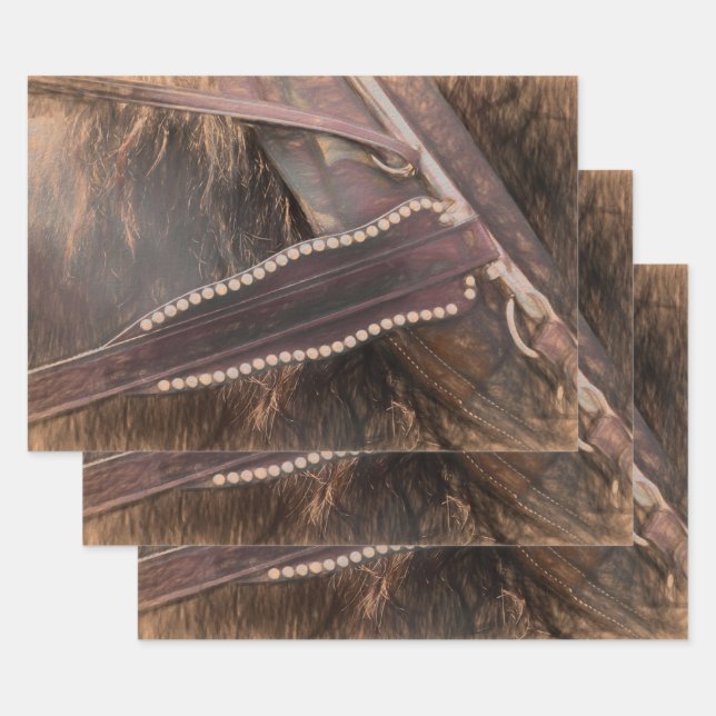 Western Brown Vintag Rustikale Decoupage Geschenkpapier Set (Set)