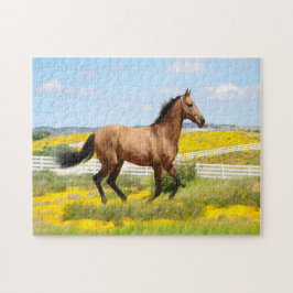 Western-Buckskin-Pferd, das durch ein Feld läuft