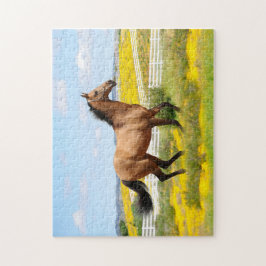 Western-Buckskin-Pferd, das durch ein Feld läuft