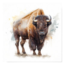 Western Buffalo Kunstposter Druck