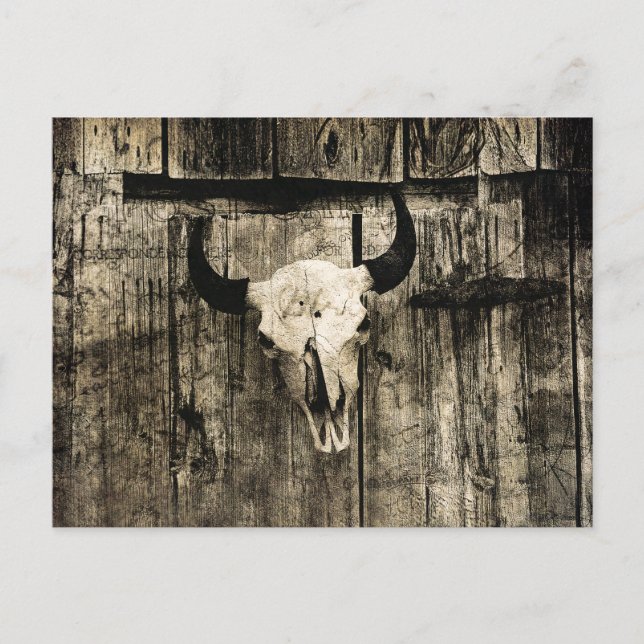 Western Bull Skull Holzstall Sepia Rustikal Vintag Postkarte (Vorderseite)