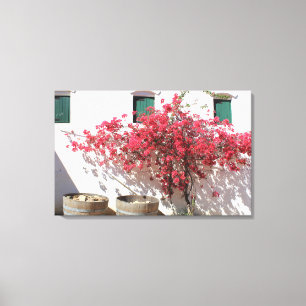 Western Cape Weinberg Landschaft Leinwanddruck