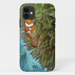 Western Clownfisch (Amphiprion ocellaris) Case-Mate iPhone Hülle