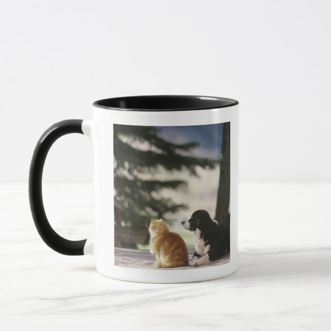 Western Colorado, USA Tasse (Links)