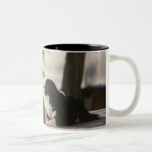 Western Colorado, USA Zweifarbige Tasse