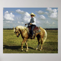 Western Cowboy auf Palomino Pferd