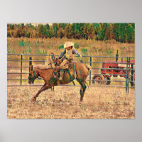 Western Cowboy Country Reiten