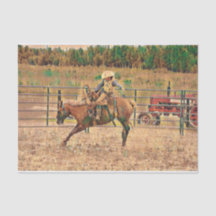 Western Cowboy Country Reittierpapier
