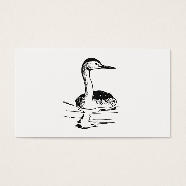 Western Grebe (Vorderseite)