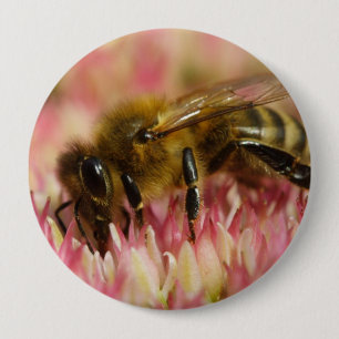 Western Honey Bee Macro Button