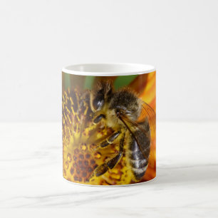 Western Honey Bee Macro Foto Kaffeetasse