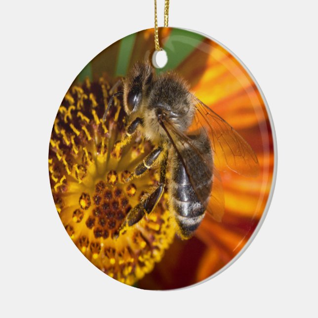 Western Honey Bee Macro Foto Keramikornament (Links)