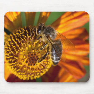 Western Honey Bee Macro Foto Mousepad