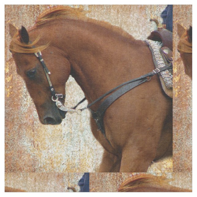 Western Horse Grunge Stoff (Nahaufnahme)