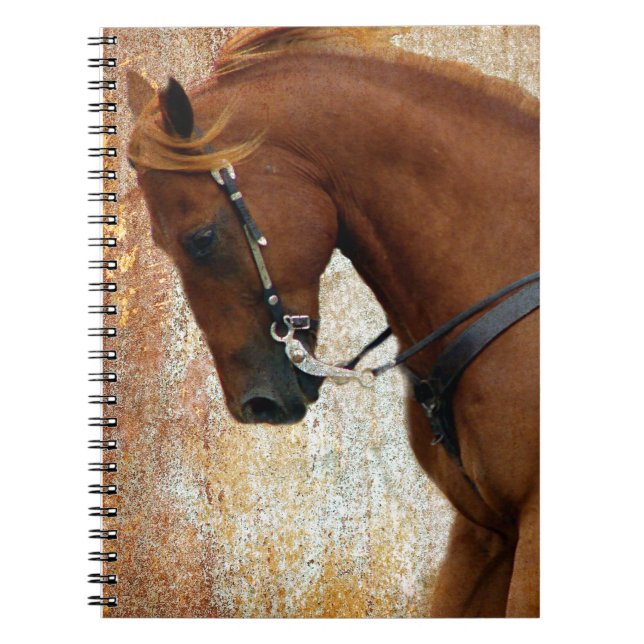 Western Horse Sorrel Grunge Notizblock (Vorderseite)