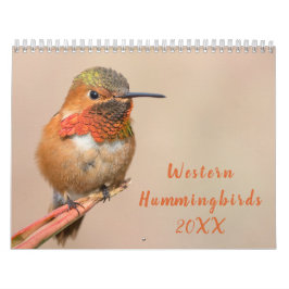 Western Hummingbirds Fotografie Kalender
