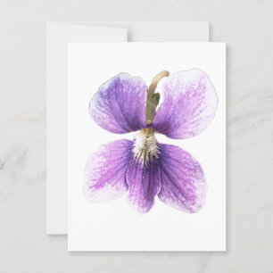 Western-Hunde Violett. Postkarte