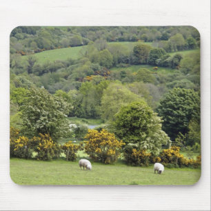 Western Irland, Dingle Halbinsel, breit Mousepad
