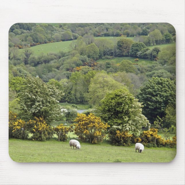 Western Irland, Dingle Halbinsel, breit Mousepad (Vorne)