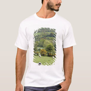 Western Irland, Dingle Halbinsel, breit T-Shirt
