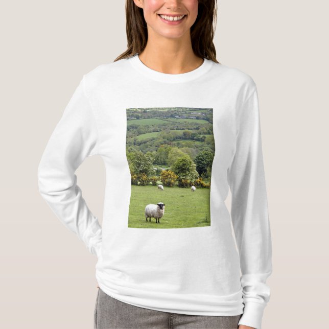 Western Irland, Dingle Halbinsel, breit T-Shirt (Vorderseite)