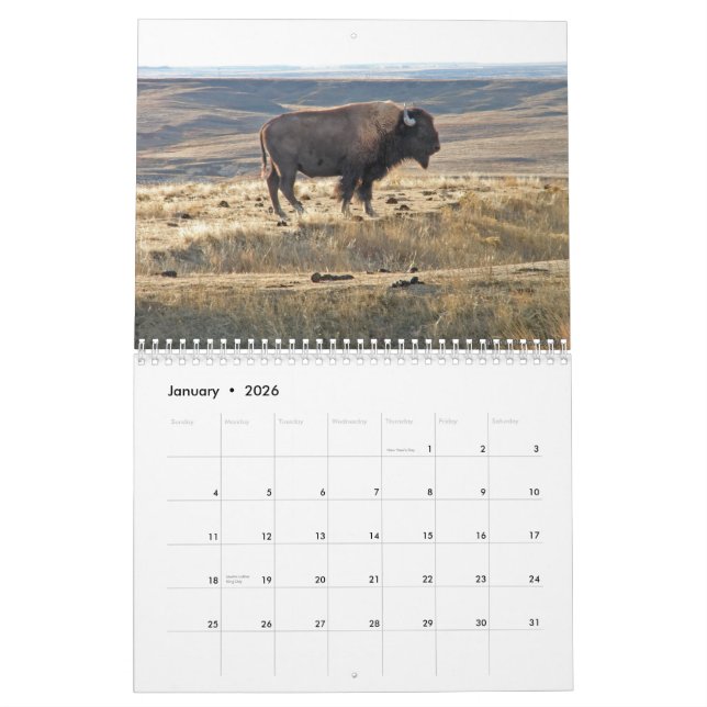 Western-Kansas-Büffel Kalender (Jan 2026)