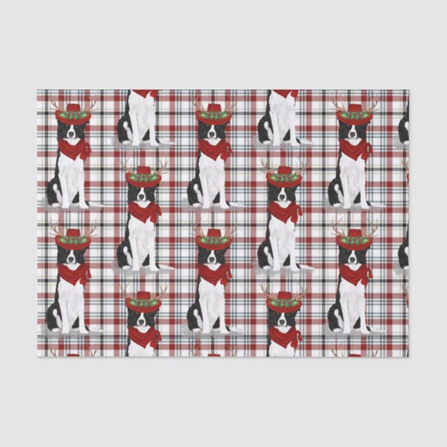 Western Kariert und Weihnachts-Grenze Collie Lover Seidenpapier (Vorderseite)