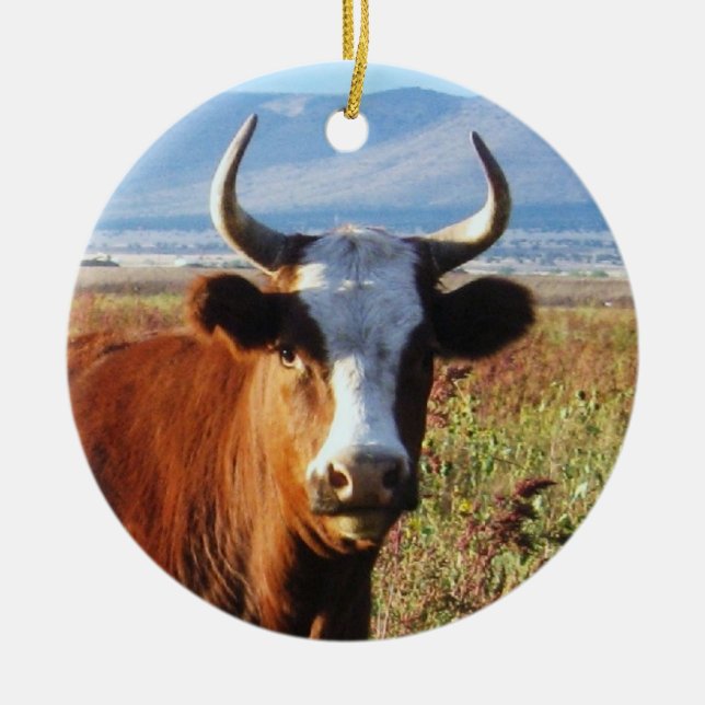 Western-Kuh-und Baby-Kalb-Vieh doppelseitig Keramik Ornament (Vorne)