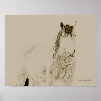 Western-Kunstpferd, Retro, Vintag 11x14 Geschenk Poster