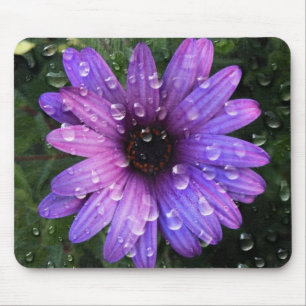 Western Landgarten Morgengrauen lila Tag Mousepad