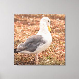 Western Leinwanddruck