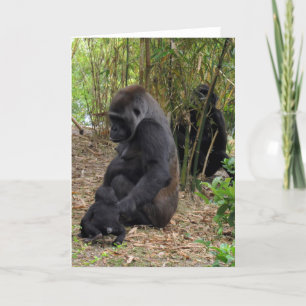 Western Lowland Gorilla - Mama und Baby Karte