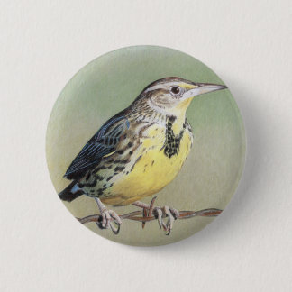 Western Meadowlark Button