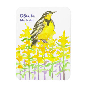 Western Meadowlark Goldenrod Gelbe Wildblume Magnet