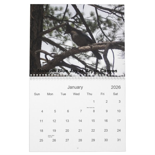 Western Nationalparks Kalender (Jan 2026)