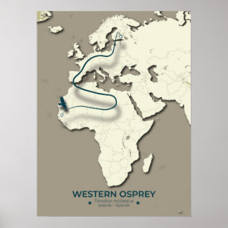 Western Osprey Migration Map - Minimalistisch Vint Poster